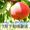 【桃を味わい尽くしたい方】園主一押し！旬の桃リレー♪