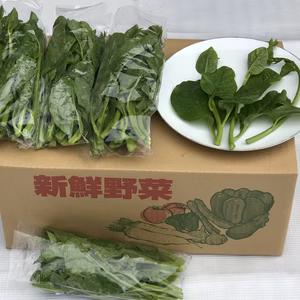 ツルムラサキ無農薬栽培（おだ農園）