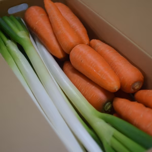 長ネギ×人参の鍋野菜セット