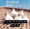 香川県産✨乾燥にんにく✨L〜3Lの大きめ！