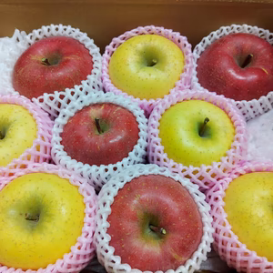 #シャキっ！パリっ！りんご 2品種セット【長野県産サンふじ・シナノゴールド】