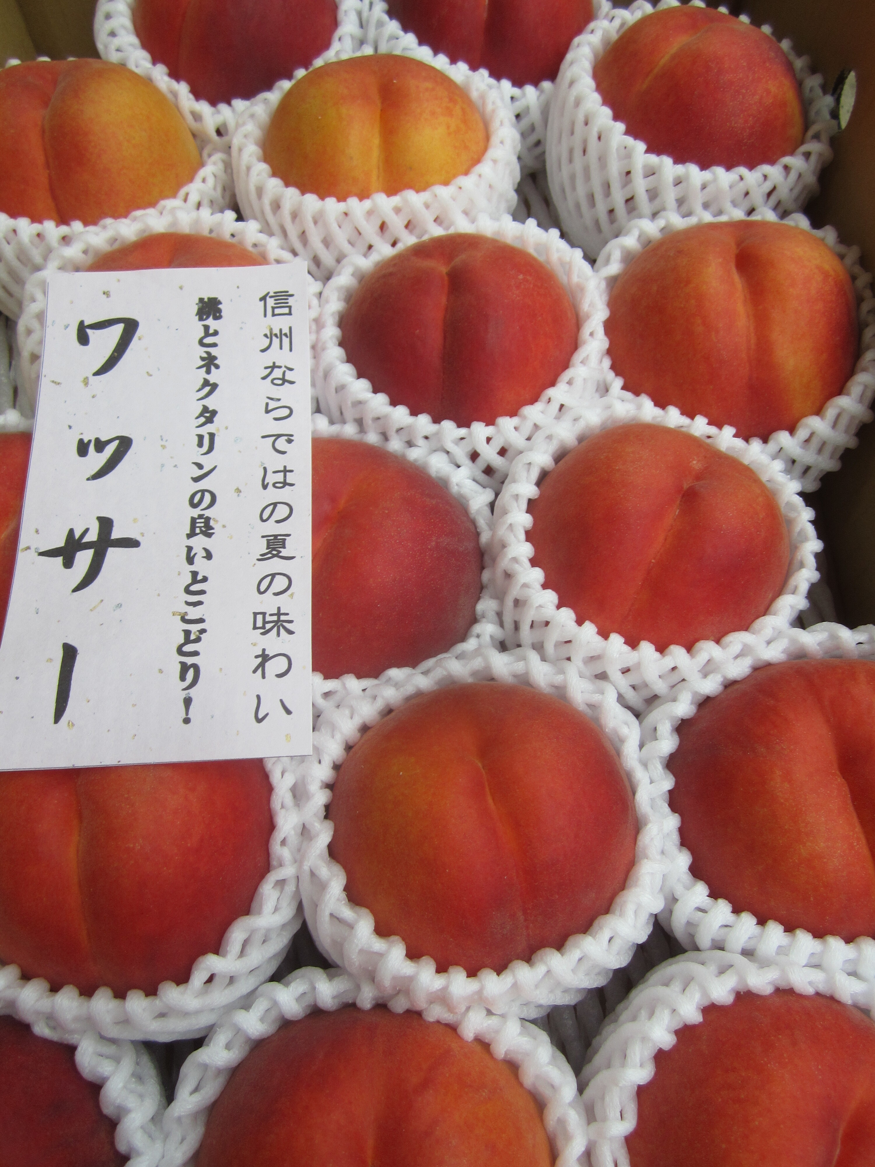 ワッサーの産直通販・お取り寄せ商品｜ポケットマルシェ｜産地