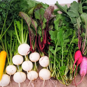 自然栽培野菜セット(6品)【農薬・肥料不使用】