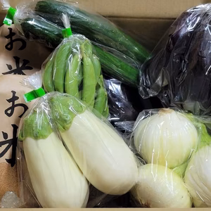 【第四弾】ダンボールに『ぎっしりと!!』野菜セット♪