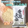 《 玄米 》 信州産 農薬不使用米 こしひかり 令和3年産