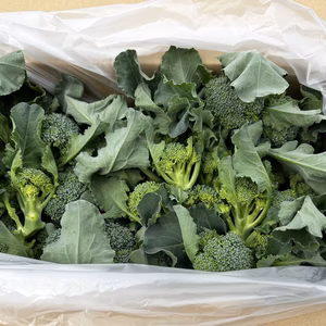 スティックセニョール３kg入