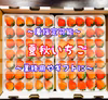 【35玉/着指定可能】青森県下北産　夏秋いちご「すずあかね/赤い妖精」【業務用】