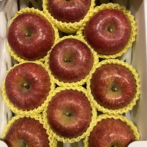 ふじ蜜入りチェック済み‼️特選超遅もぎ樹上完熟蜜入りサンふじ3キロ9-12