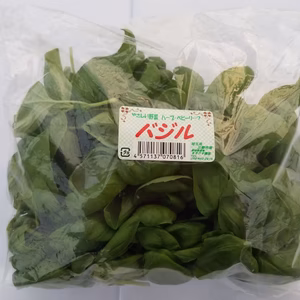 水耕栽培　フレッシュバジル
