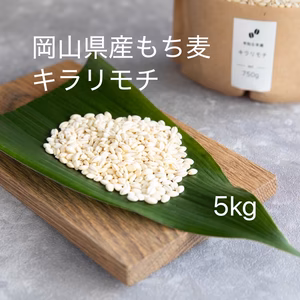 （岡山県産)令和７年産キラリモチ 5kg