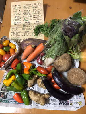 みんなの投稿の画像