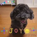 JOYママ