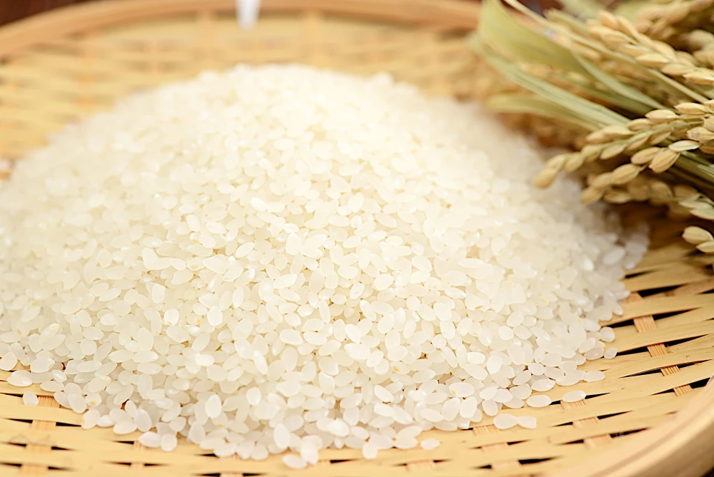 《白米》信州産 特別栽培米『いのちの壱』大粒の品種です！令和4年産