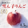 家庭用　自慢の雪んこりんご約4.5キロ