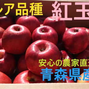 レア品種！　紅玉　【青森県産りんご 】　スイーツ作りに最適