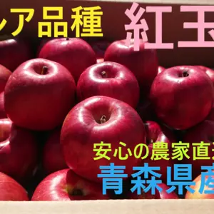 レア品種！　紅玉　【青森県産りんご 】　スイーツ作りに最適