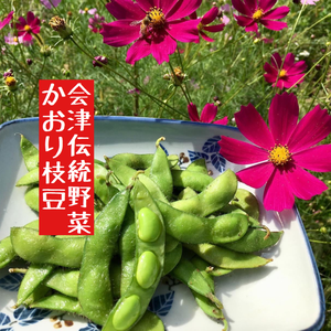 会津伝統野菜かおり枝豆「手もぎ」農薬化学肥料不使用栽培+訳あり小菊かぼちゃカレー