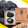 【贈答用】厳選！ずっしり大房ナガノパープル２〜３房（約１２００g）