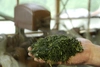 ✳︎送料無料✳︎【2022年摘み取り 山のお茶】高香 100g
