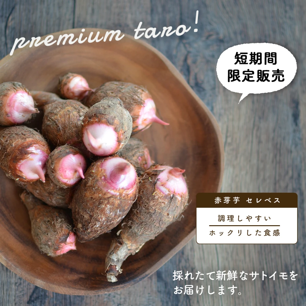 【おまけ付】宮崎産 里芋 赤芽芋 セレベス 2kg