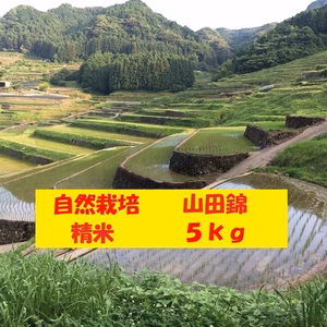 【４月セール】自然栽培「山田錦」精米　５ｋｇ