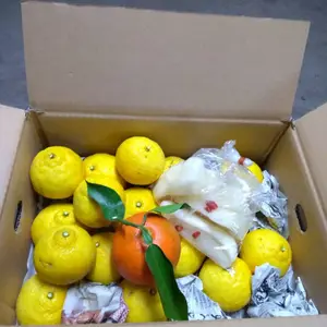 はるか-レモン色の甘い柑橘- お漬物付 限定20箱