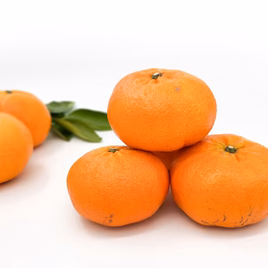 甘平〈訳あり・サイズ混合〉約3kg～　※順次発送中～