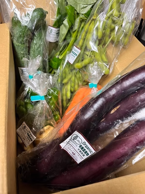 みんなの投稿の画像