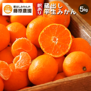 蔵出しみかん早生｜和歌山県海南市下津町の特産品、蔵出しみかんの希少な早生品種