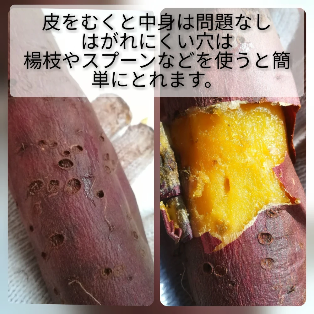 【今季終盤】1年熟成！プレミアムシルクスイートの石窯焼き芋
