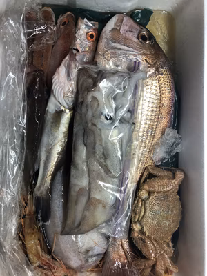 みんなの投稿の画像