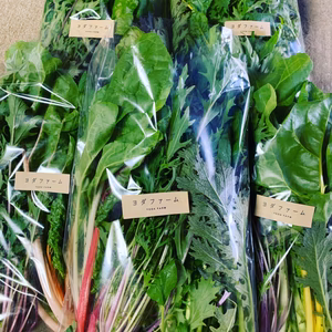 近隣限定！切るだけサラダ！コロナウイルスで大変な思いをされている方へ