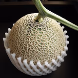 生藤大地 | 生藤農園