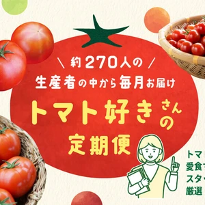 約270人の生産者さんの中から毎月お届け「トマト好きさんの定期便」
