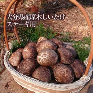 ☆大分県産原木しいたけ1kg☆ステーキなどに!(冷蔵)