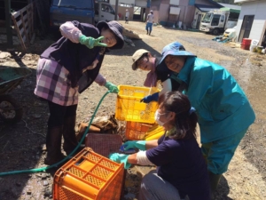 14233050_1095941530484471_6468358917072183446_n