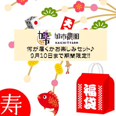 ぶどう福袋 レアな品種も 加市農園お楽しみ果物セット 農家漁師から産地直送の通販 ポケットマルシェ