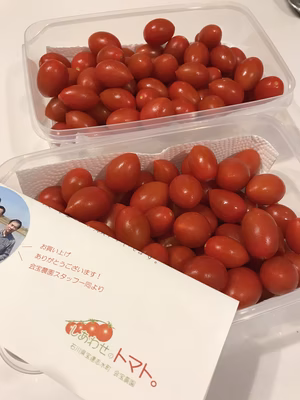 みんなの投稿の画像