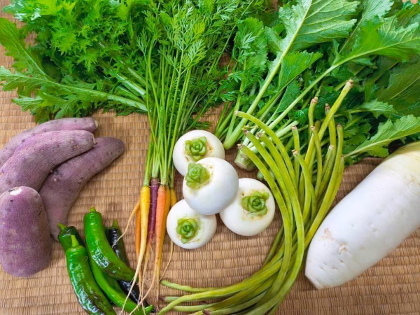 能登野菜　秋バージョン