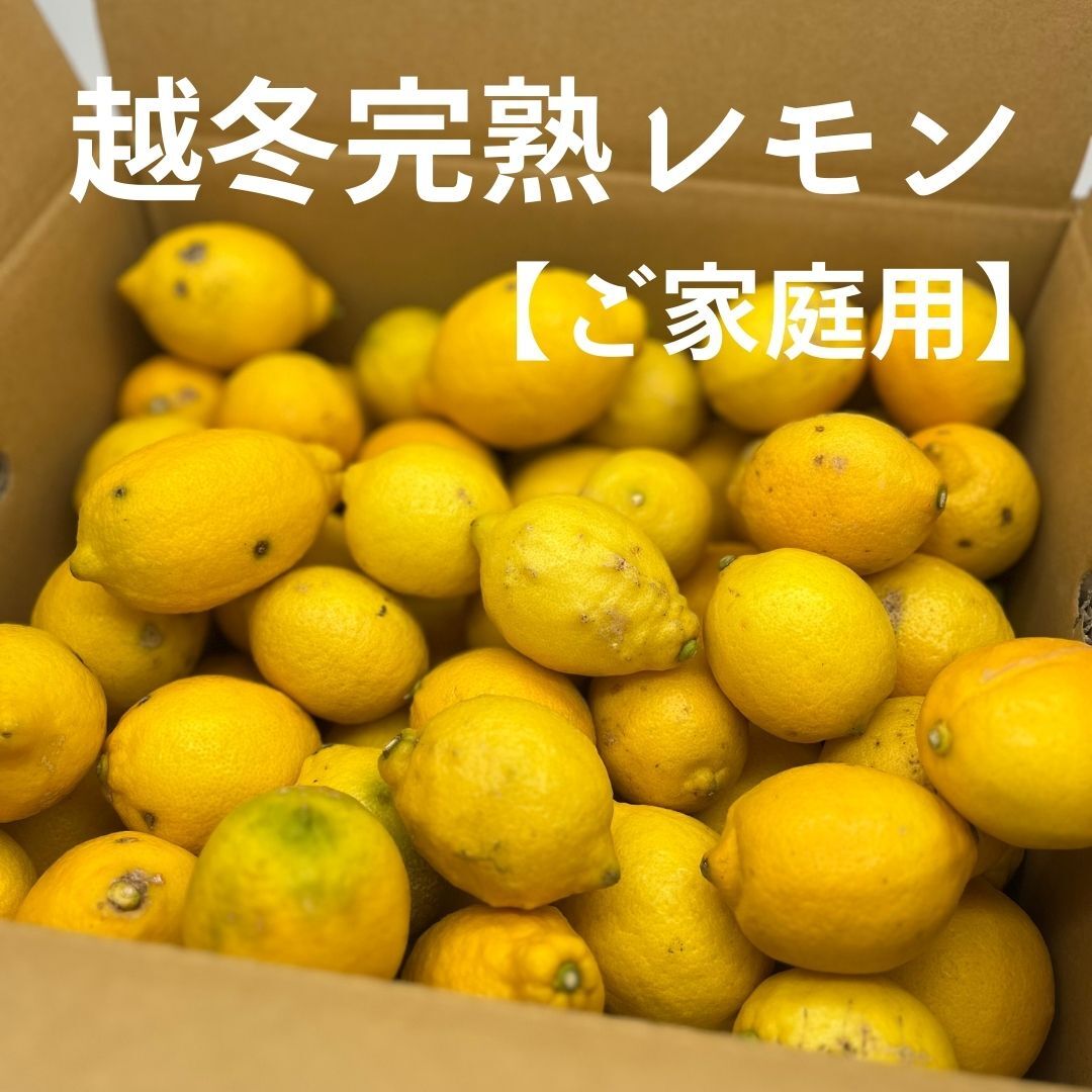 美味しさ最高峰！とろとろ熟成◎秀品 マロンゴールド 5kg さつまいも