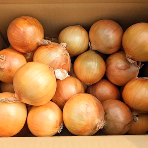 限定2ケース✨小玉ちゃん30個前後5キロ