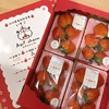 秋吉台のミネラルたっぷり!! Agri charmいちご♡大粒お試しセット