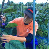 國中秀樹 | いろどりふぁーむ