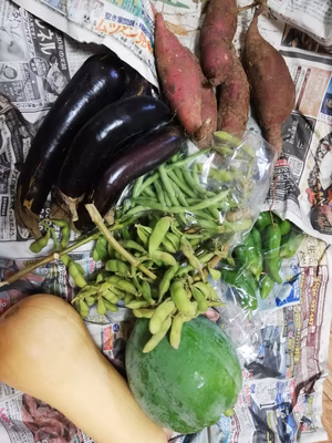 みんなの投稿の画像