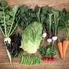 【農薬•化学肥料 不使用】お好きな量の春夏野菜セット