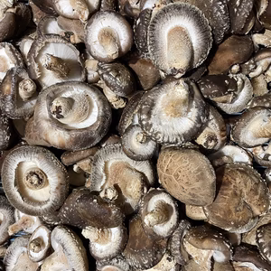 原木椎茸