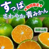 酸っぱい！和歌山県産青みかん♩ジュースやお料理にもどうぞ！