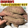 【農薬・化学肥料不使用栽培】2024年産　青森県産　紅はるか