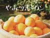 ✩やみつきミカン✩まるで魔法？！ 和歌山有田みかん（家庭用）12月 早生みかん