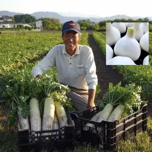 【野菜4品＋生ニンニク セット】65年以上続く自然農法の旬野菜